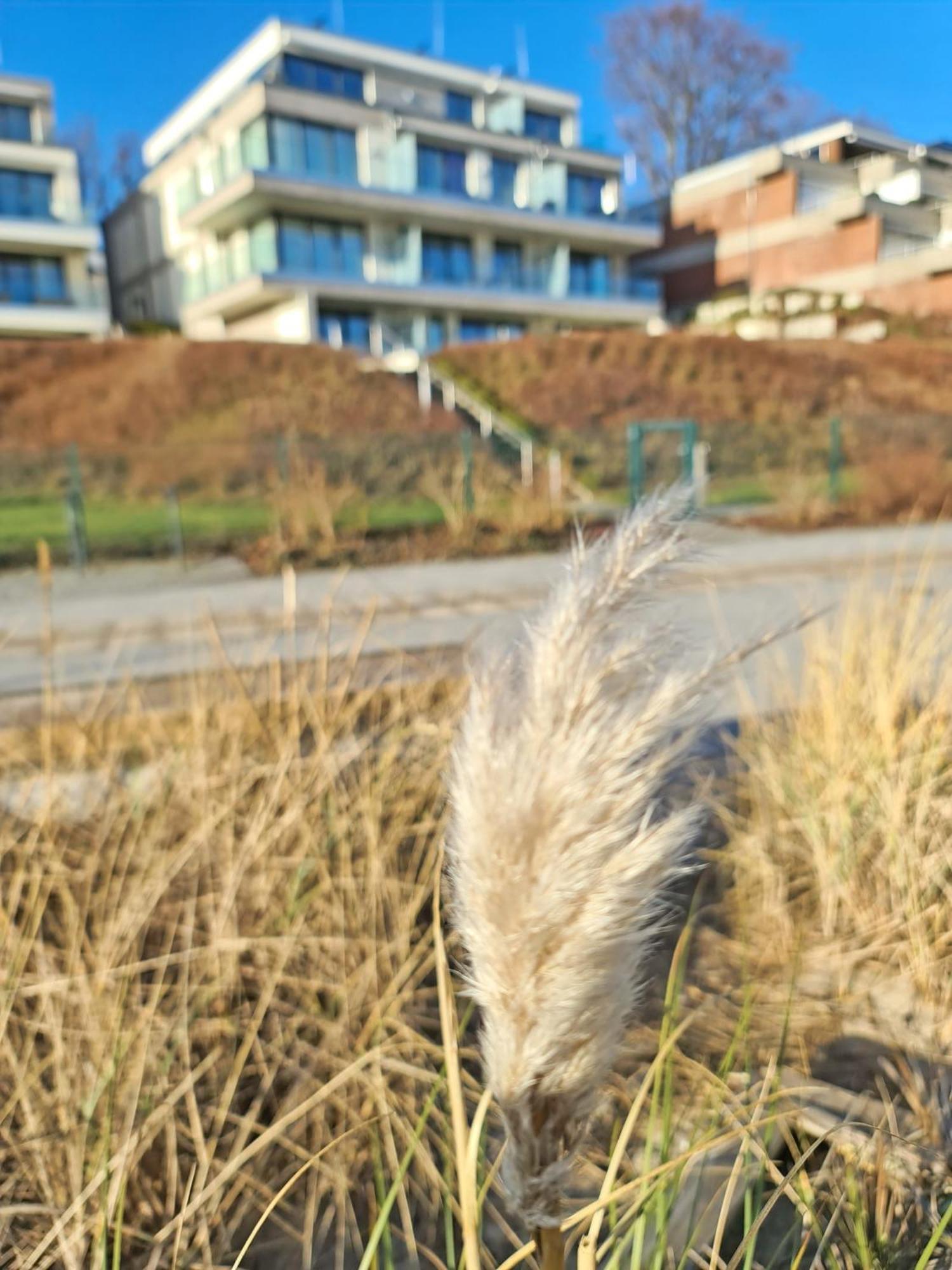 Am Hohen Ufer Whg 5 Appartement Grömitz Buitenkant foto